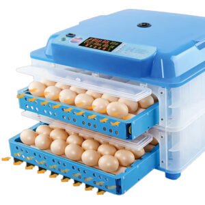 Read more about the article Couveuse automatique abordable à Abidjan – Idéale pour les petites fermes