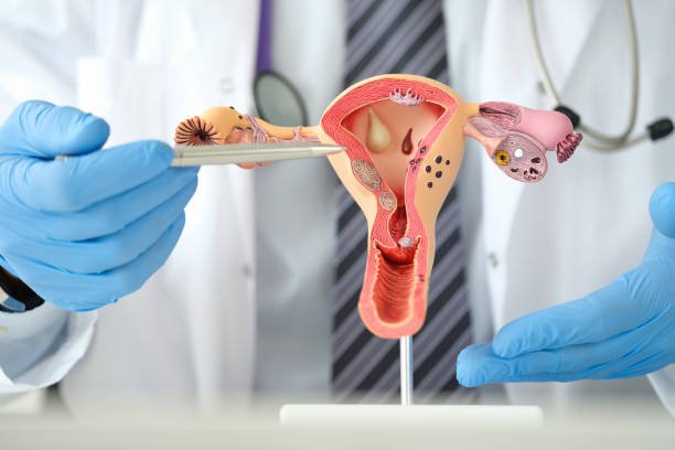 Read more about the article Best Obstetrician and Gynecologist in Malaysia for Safe Motherhood