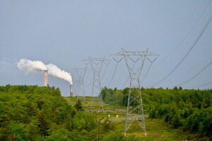 Read more about the article Top Pros and Cons of Using Lumo Energy and Powershop Energy