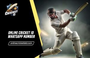 Read more about the article Online Cricket ID WhatsApp Number | 24×7 Match Play Access