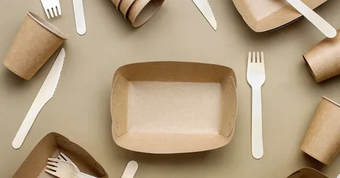 Read more about the article Simplex Tray: Functional Packaging with Visual Impact
