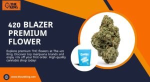 Read more about the article 420 Blazer Premium Flower: Your Guide to Florida’s Finest Cannabis