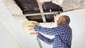 Read more about the article How to Spot Ceiling Water Damage in Brooklyn Homes Before It’s Too Late