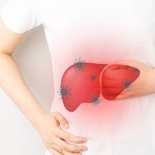Read more about the article How Viral Infections Affect the Liver and Gut