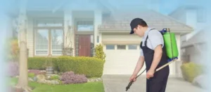 Read more about the article Reliable Pest Control Services in Multan—Safeutions