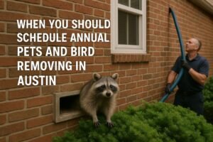 Read more about the article When You Should Schedule Annual Pets and Bird Removing In Austin
