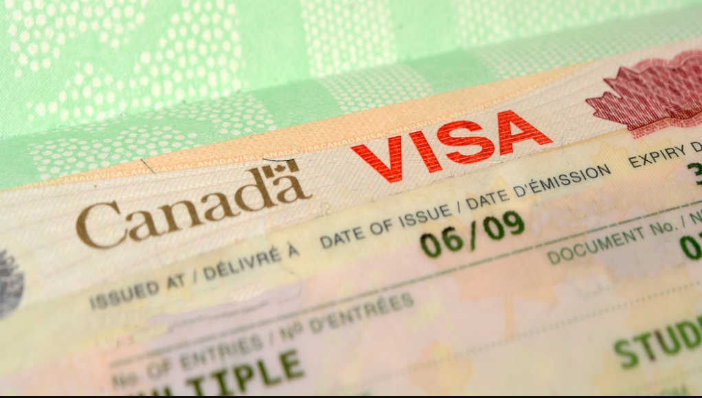 You are currently viewing The Importance of Choosing the Right Canadian Visa Consultant in Pakistan