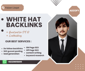 Read more about the article Dofollow Backlinks & Guest Posting: A Smarter Choice than PBNs Avoid PBN Links