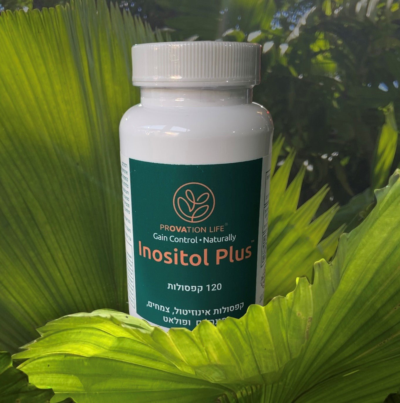 You are currently viewing The Role of Myo-inositol to Support Fertility