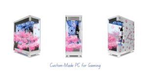 Read more about the article Top 5 Mistakes to Avoid When Building Your First Custom-Made PC for Gaming