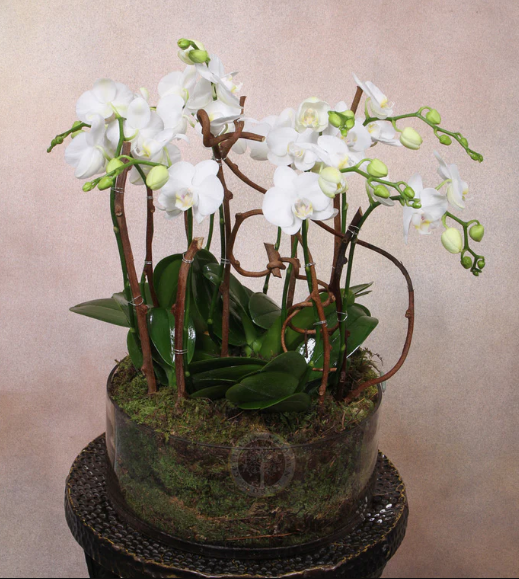 You are currently viewing Blooming Beauty: Discover the Best Floral Arrangements in West LA