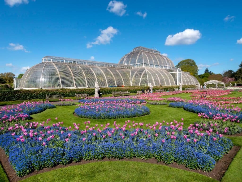 You are currently viewing Why Kew Gardens Is a Must-Visit for Plant Lovers & Families Visiting London