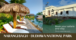 Read more about the article Why Narangi Bagh is the Perfect Luxury Homestay in Dudhwa National Park