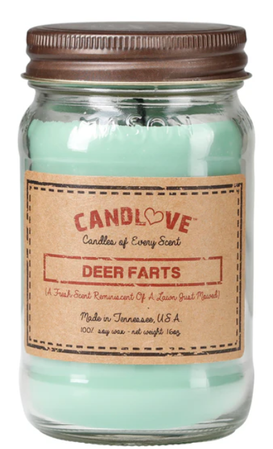 You are currently viewing The Art of Aromatherapy: How Scented Candles Can Transform Your Space