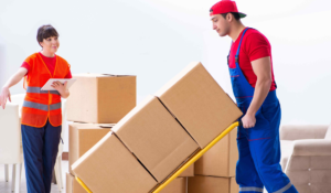 Read more about the article Expert And Trusted Packers and Movers in Islamabad