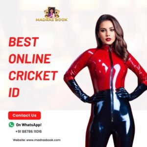 Read more about the article Top King Exchange ID Provider for Secure Online Cricket Betting