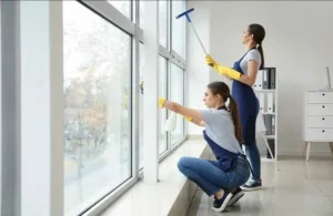 Read more about the article What are the Disadvantages of Window Cleaning?