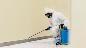 Read more about the article Reliable 24/7 Pest Control Near Malad Mumbai: Safe, Quick & Affordable