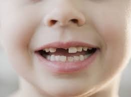 Read more about the article How Baby Teeth Form and Emerge from the Skull