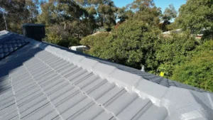 Read more about the article Leak Detection Canberra: Protecting Your Home from Hidden Damage