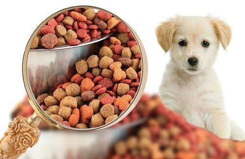 You are currently viewing Report on Pet Food Manufacturing Plant Setup with Cost Analysis