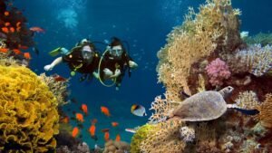 Read more about the article Discover the Hidden Depths: Scuba Diving in Dubai