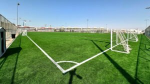 Read more about the article How Does Artificial Turf Compare to Natural Grass in the UAE’s Harsh Climate?