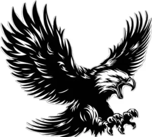 Read more about the article Affordable Vector Art for Printing & Embroidery