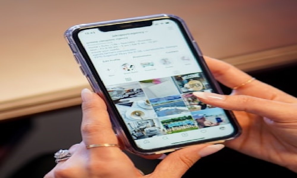 You are currently viewing Just Stop Screaming: A Lifestyle for Peace & Positivity