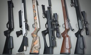 Read more about the article Top Hunting Air Guns for Small Game
