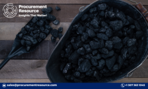 Read more about the article Anthracite Coal Price Trend, Market Analysis, Historical Data, and Forecast