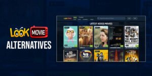 Read more about the article LookMovie2.to Not Working? Here Are the Best Alternatives