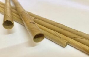 Read more about the article Dry Coconut Leaves Based Biodegradable Straw Manufacturing Plant Setup Cost Report Covers Project Economics, Business Plan and Requirements