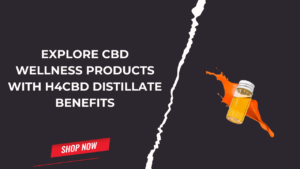 Read more about the article Explore CBD Wellness Products with H4CBD Distillate Benefits