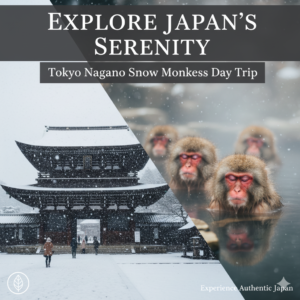 Read more about the article Explore Japan’s Serenity on a Tokyo Nagano Snow Monkeys Day Trip