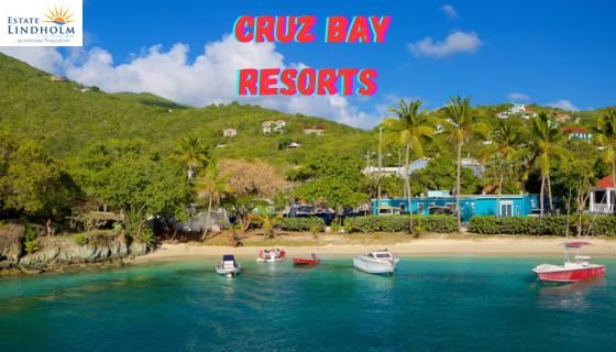 You are currently viewing Cruz Bay Hotels Where to Stay in the Heart of St. John