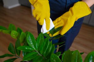 Read more about the article Eco-Friendly Workspaces: Rise of Green Cleaning