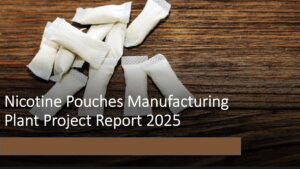 Read more about the article How to Set Up a Nicotine Pouches Manufacturing Plant in 2025: Investment & ROI Analysis