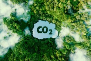 Read more about the article What Tools and Methods Can Organisations Use to Measure Carbon Emissions Accurately?