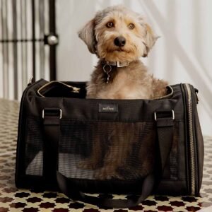 Read more about the article Everyday Luxury: Make Outings Easier with a Comfortable Puppy Purse Carrier