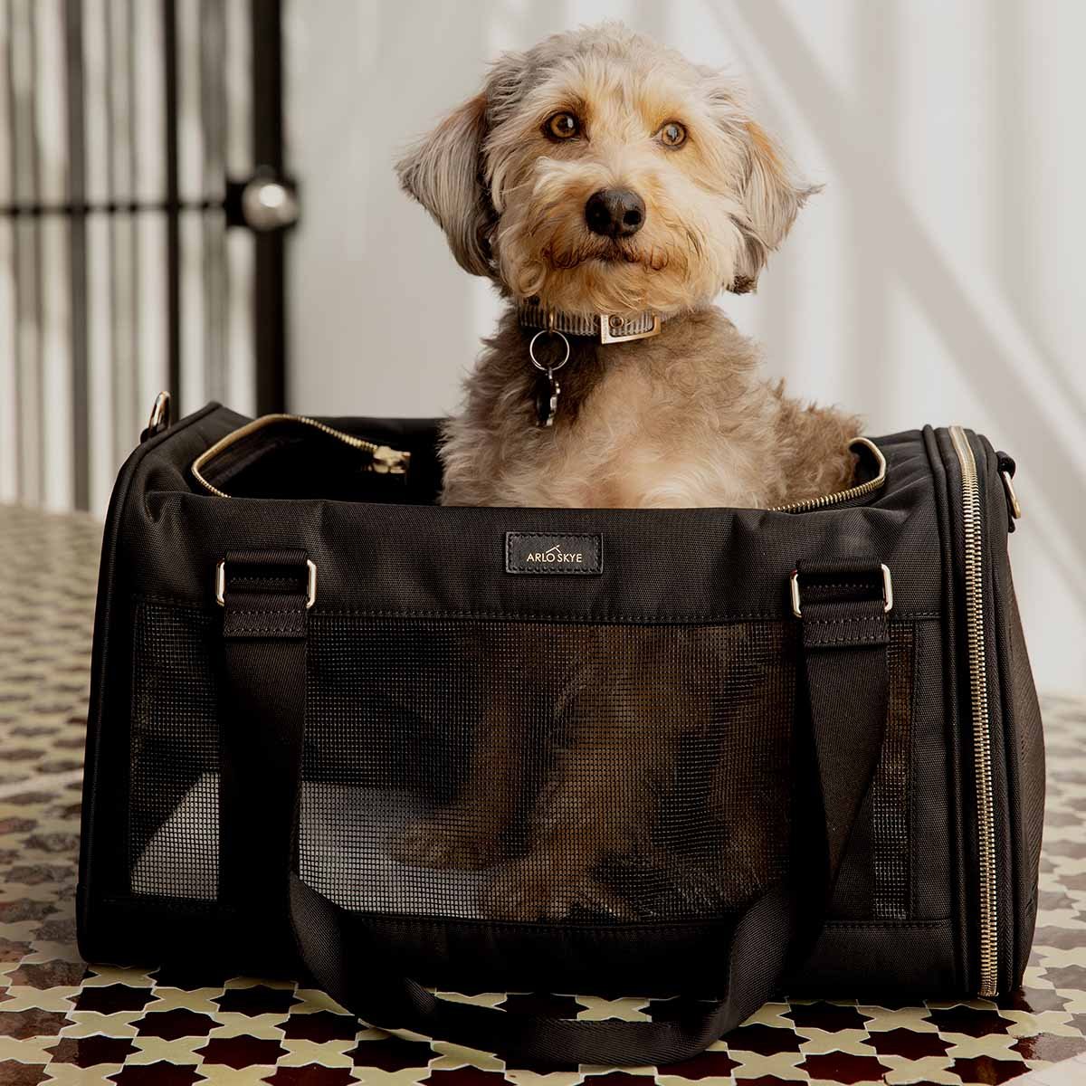 You are currently viewing Everyday Luxury: Make Outings Easier with a Comfortable Puppy Purse Carrier