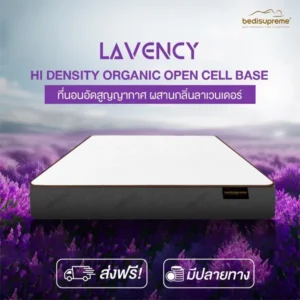 Read more about the article คู่มือเลือกที่นอนให้เหมาะกับคุณ ที่นอนแบบไหนดีต่อสุขภาพและคุ้มค่าที่สุด