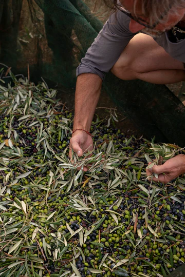 Read more about the article Biodiversity Enhancement Creates Healthier Landscapes And Sustains Life For Generations