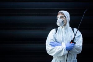 Read more about the article Expert Pest Control Ayrshire Protect Your Home and Business