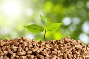 Read more about the article How Does Organic Pellet Fertilizer Improve Soil Health in UAE Agriculture?
