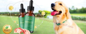 Read more about the article Pawbiotix Dog Probiotic – Gut Health & Immunity Booster
