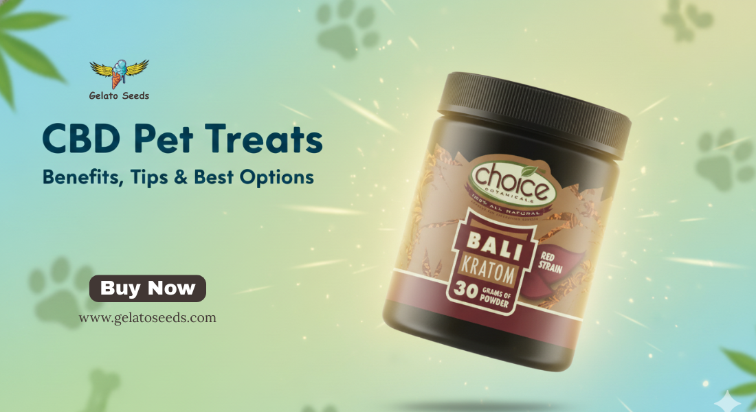 You are currently viewing CBD Pet Treats : Benefits, Tips & Best Options