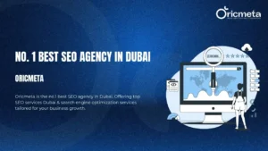 Read more about the article Best Digital Marketing Agency – Oricmeta