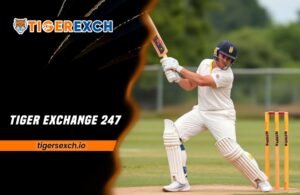 Read more about the article Tiger Exchange 247: Create an online cricket ID with Tiger Exchange 247