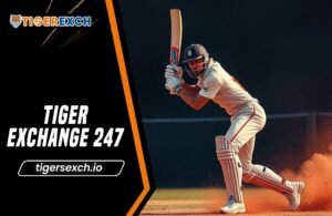 Read more about the article Tiger Exchange 247: Your cricket ID online with Tiger Exchange 247